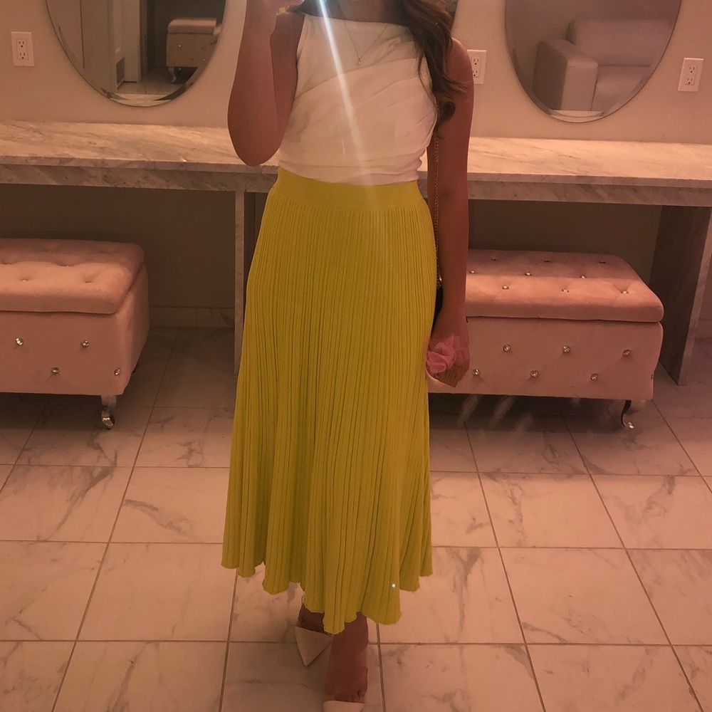 Zara Flowy Skirt